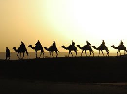 Holy Land Tour Package to Egypt, Jordan, and Israel all included