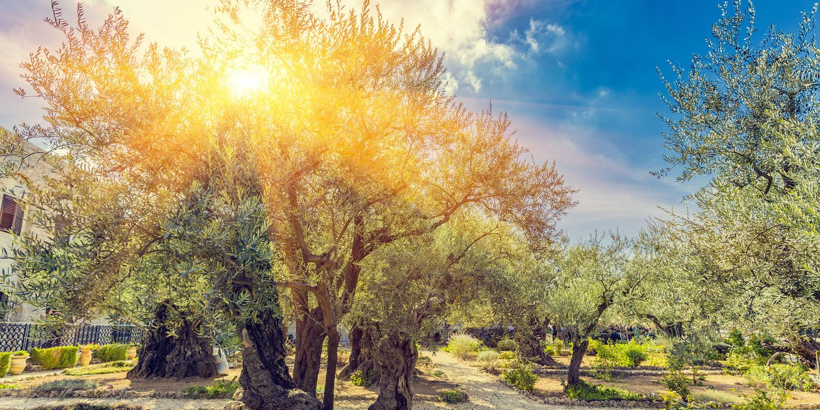 Holy Land Tours to Israel